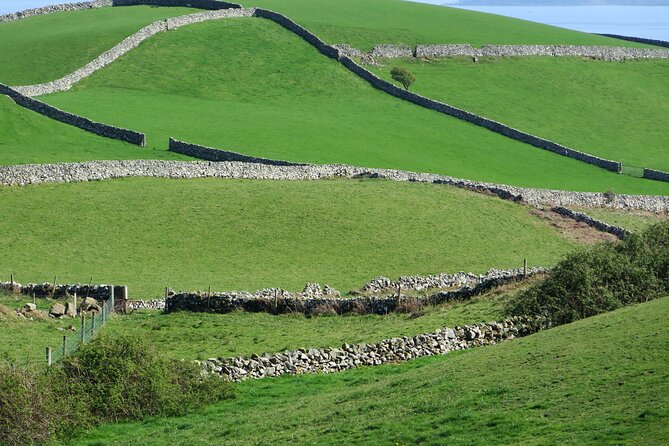 Private Tour of Newgrange and The Hill of Tara - The guides are a major part of the value