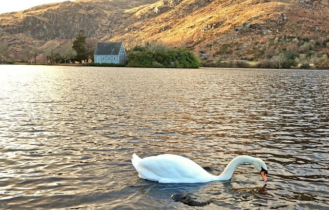Private tour to Gougane Barra and Glengarriff - Key points to know before booking