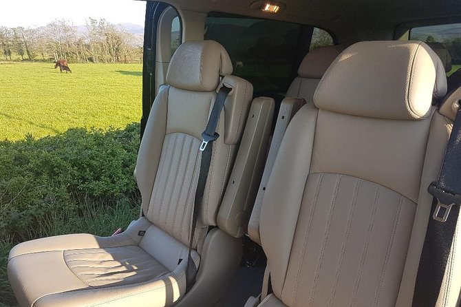 Private Transfer Dublin to Killarney - Who should book this transfer