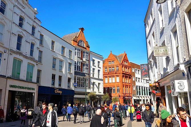 Private Ultimate Day in Dublin (Walking Tour) - Dublin Castle and Christ Church Cathedral