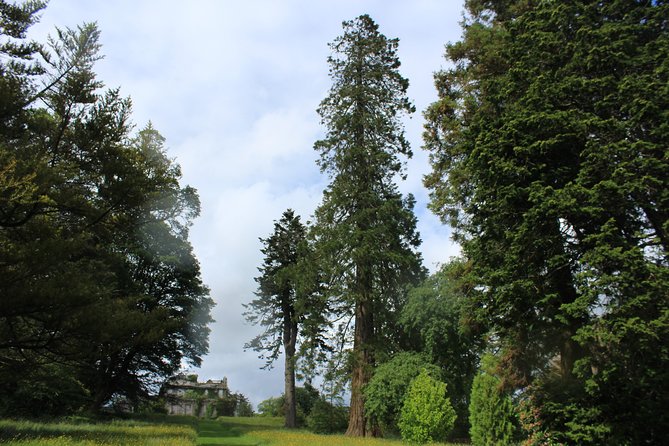 Private Wicklow Mountains Day Tour - Kilmacurragh and the return through Wicklow