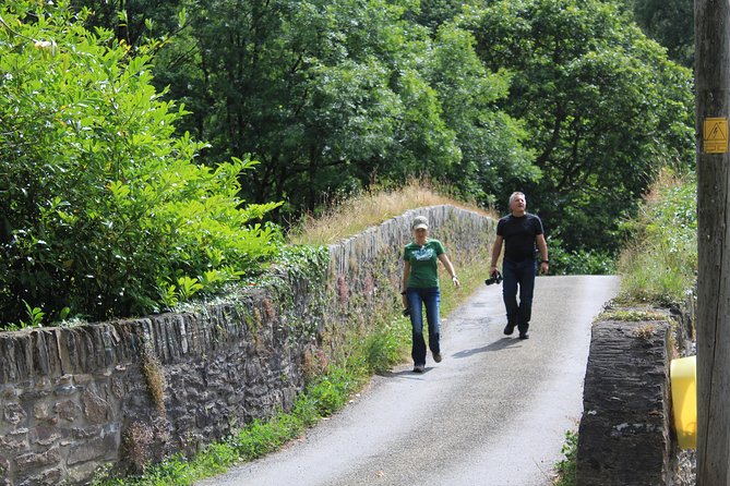 Private Wicklow Mountains Day Tour - What the private vehicle and guide add