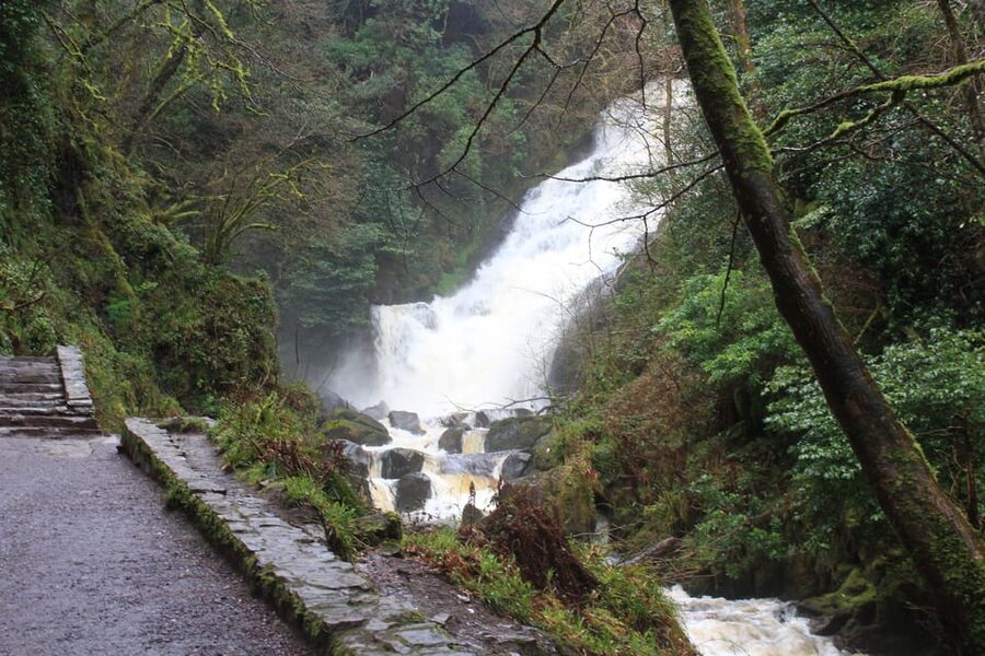Private Wild Atlantic Day Tour from Cork - Why the private minibus matters