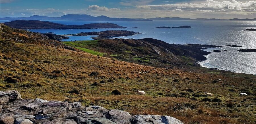 Rail Tour from Dublin: The Ring of Kerry - Dingle Bay and the Atlantic views