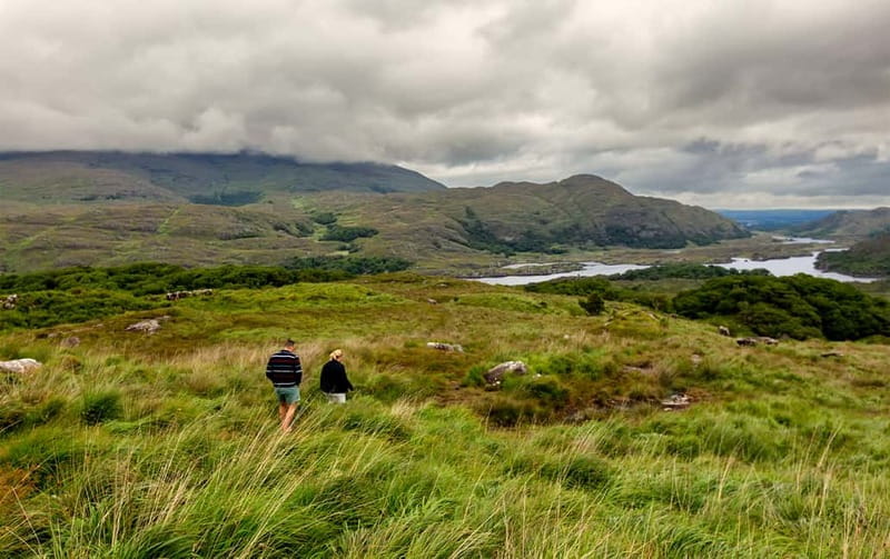 Ring of Beara: Private Tour from Killarney - Adrigole and the climb over Healy Pass