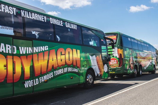 Ring of Kerry Day Tour from Cork: Including Killarney National Park - Leaving Cork for the Kerry Mountains