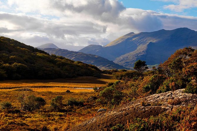 Ring of Kerry Day Tour from Cork: Including Killarney National Park - Killorglin and the story of Puck Fair
