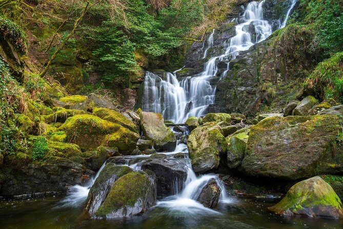 Ring of Kerry Day Tour from Killarney: Including Killarney National Park - What this Killarney day trip actually covers