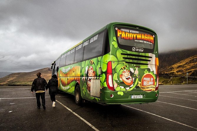 Ring of Kerry Day Tour from Killarney: Including Killarney National Park - Molls Gap and Ladies View