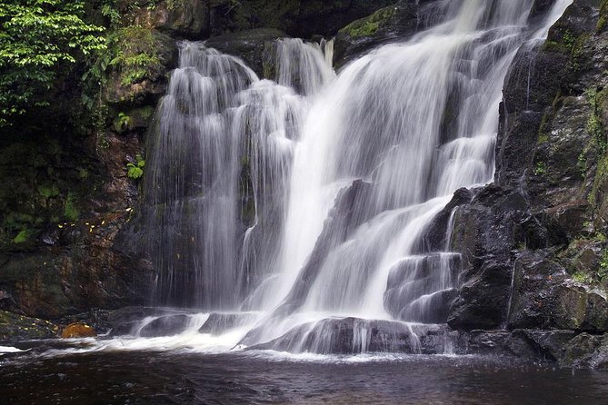 Ring of Kerry Day Tour from Limerick: Including Killarney National Park - Leaving Limerick before the roads fill