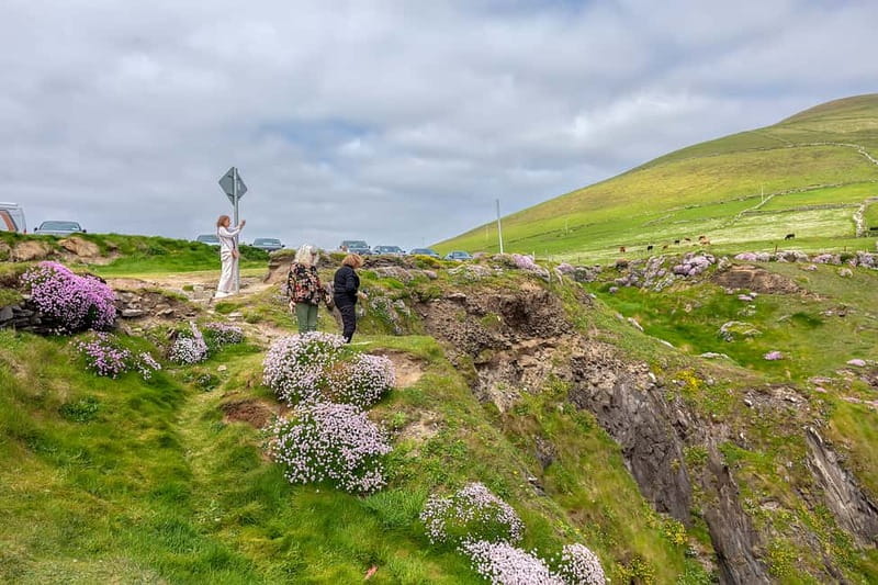 Ring of Kerry & Kerry Cliffs: Private Tour from Killarney - Torc Waterfall closes the scenic loop