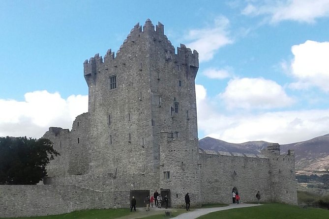 Ring of Kerry & Skellig Ring - Private Mini Bus Tour - What Makes This Private Tour Worth Considering