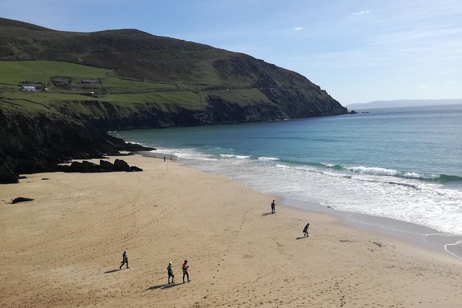 Ring of Kerry Tour Private Chauffeur Driven From Killarney - Why a private Ring of Kerry tour makes sense