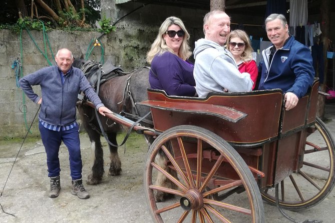 Ring of Kerry Tour Private Chauffeur Driven From Killarney - Kerry Cliffs and the Skelligs are the visual high point