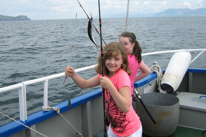 Sea Fishing 2 hour - The fish you may catch in Dingle Bay