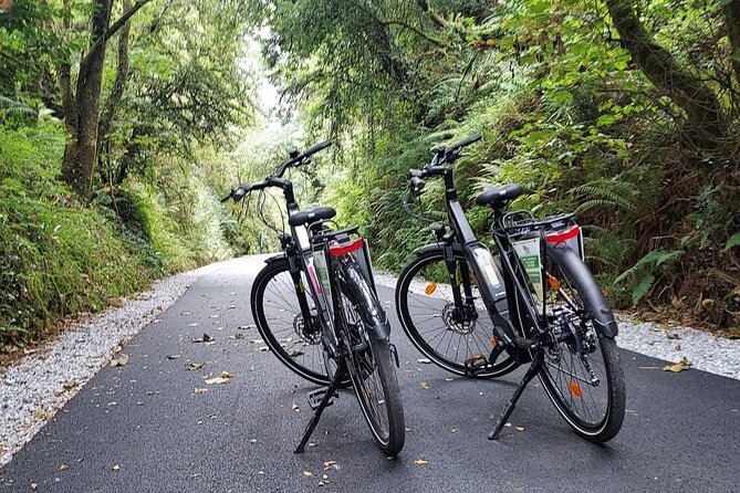 Self Guided Bike Tour on the Limerick Greenway - Booking, timing, and cancellation details