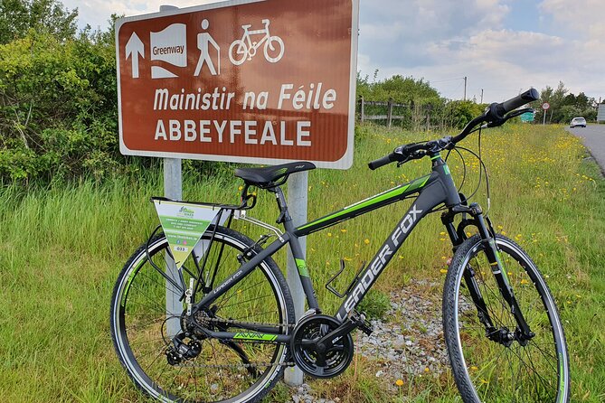 Self Guided Bike Tour on the Limerick Greenway - Choosing between adult bikes, children’s bikes, and e-bikes
