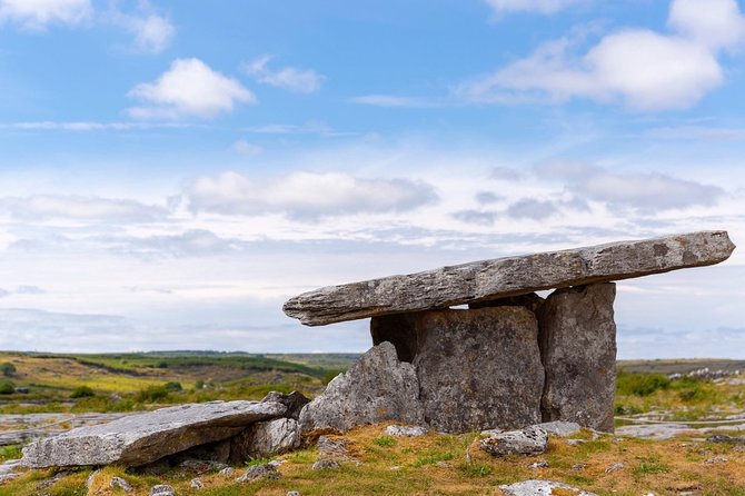 Self Guided Electric Bike Tour of Historical Sites in the Burren Co Clare - Caherconnell Stone Fort and the sheepdog stop