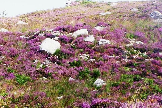 Self Guided Electric Bike Tour of Historical Sites in the Burren Co Clare - What the equipment means for your day
