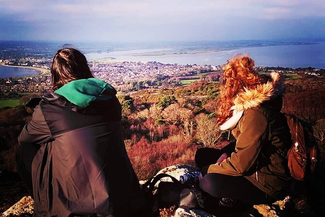 Semi-Private (8people max) 2.5 Hr Dublin Walking Tour - Dublin Castle and the Norman question