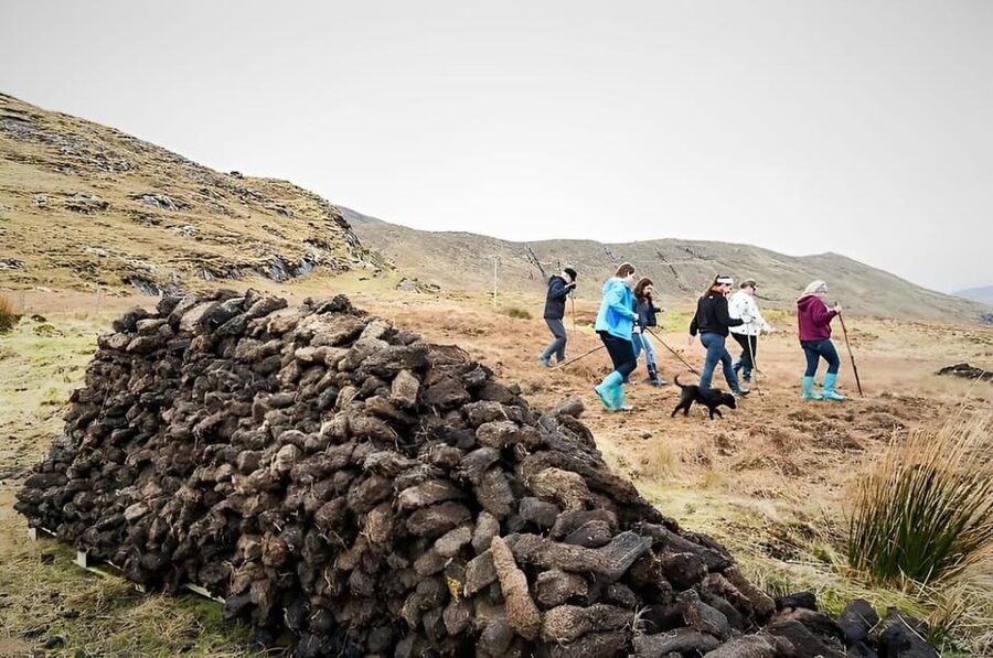 Sheepdog herding demo on working sheep farm. Galway. Guided. - Meeting a Working Connemara Farm