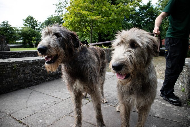 Skip the Line: Bunratty Castle and Folk Park Admission Ticket - The Regency Walled Garden and Bunratty House grounds
