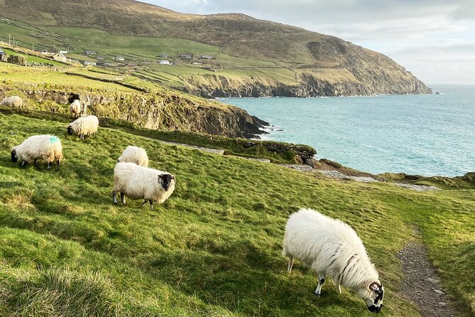 Slea Head Photo & Sightseeing Tour - The Slea Head cross and its roadside viewpoints