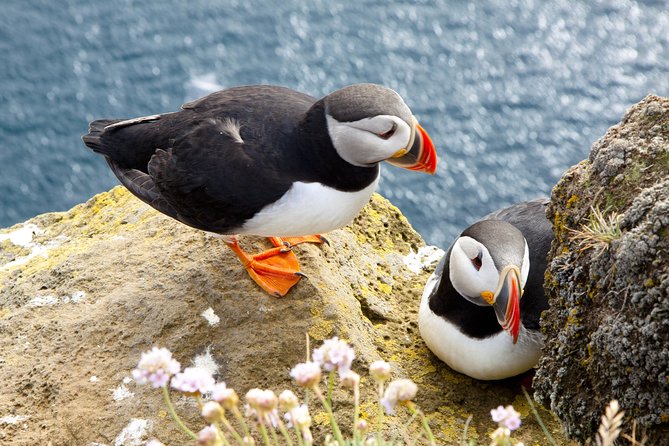 Small Group - Cliffs Cruise, Aran Islands AND Connemara in One Day from Galway - Doolin Pier and the Cliffs from sea level