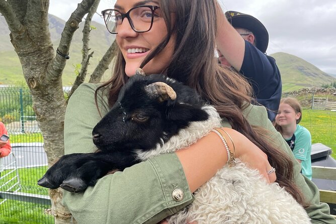 Small Group Kylemore Abbey, Sheepdog Demo & Connemara Tour - Is $126.98 good value?