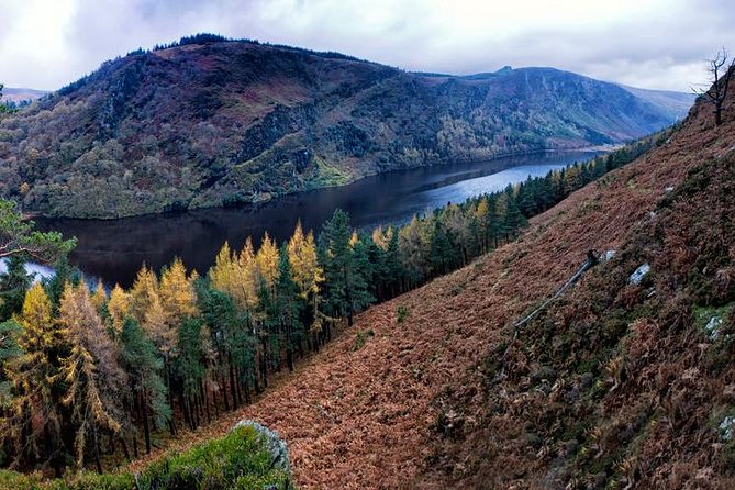 (Small Group) Shore Tour from Dublin:Dublin Highlights and Glendalough Day Trip - Price, Group Size, and Shore-Excursion Value