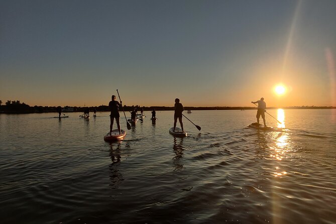 Sunset SUP experience in Malahide, Dublin - Starting at Malahide Yacht Club