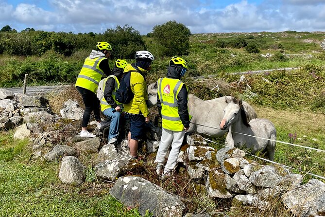 Taste of Connemara Tour by Electric Fat Tyre Bike - Getting comfortable on the RadRhino bike