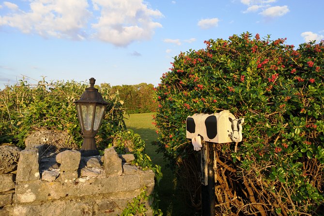 The Burren and Cliffs of Moher Private Tour from Galway - Ballyvaughan and Poulnabrone Dolmen