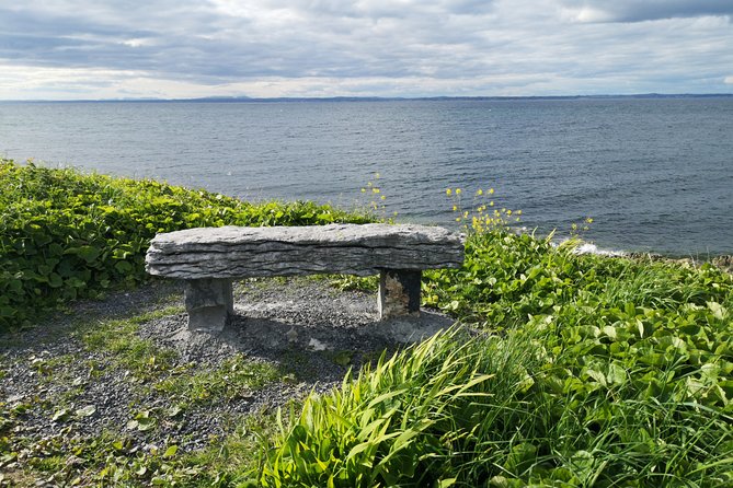 The Burren and Cliffs of Moher Private Tour from Galway - Caherconnell Fort and time for refreshments