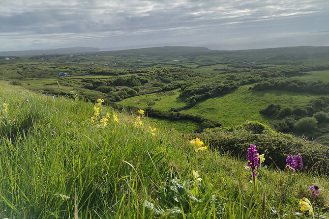 The Burren and Cliffs of Moher Private Tour from Galway - Corkscrew Hill and the Slieve Elva roads