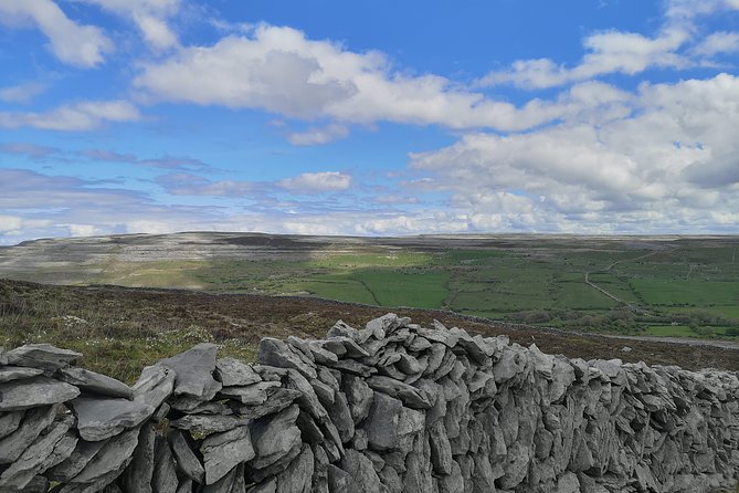The Burren and Cliffs of Moher Private Tour from Galway - The Cliffs of Moher, with time to walk