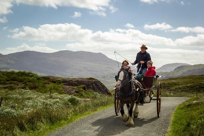 The Gap of Dunloe Adventure Day Tour from Killarney - The Black Valley and the Old Weir Bridge