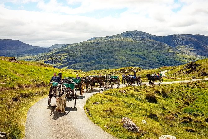The Gap of Dunloe Adventure Day Tour from Killarney - Is $205.59 good value?