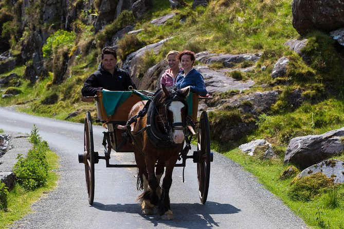 The Gap of Dunloe Full-Day Tour from Killarney - Lord Brandon’s Cottage and the handoff to the boats
