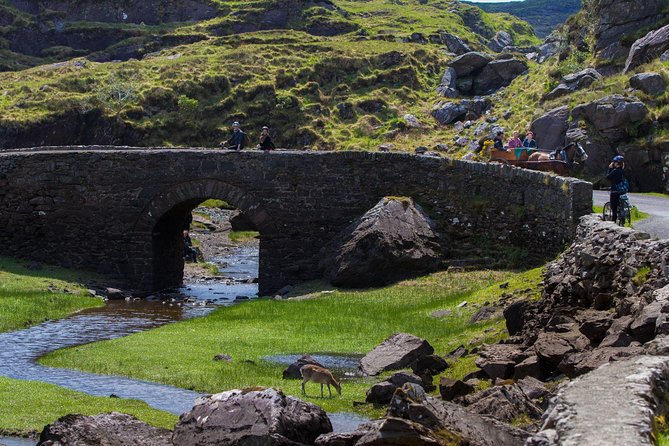 The Gap of Dunloe Full-Day Tour from Killarney - The three Lakes of Killarney by boat