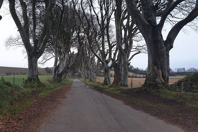 The Giant's Causeway, Dunluce Castel and Belfast - Spanish guide - A Spanish guide makes a difference