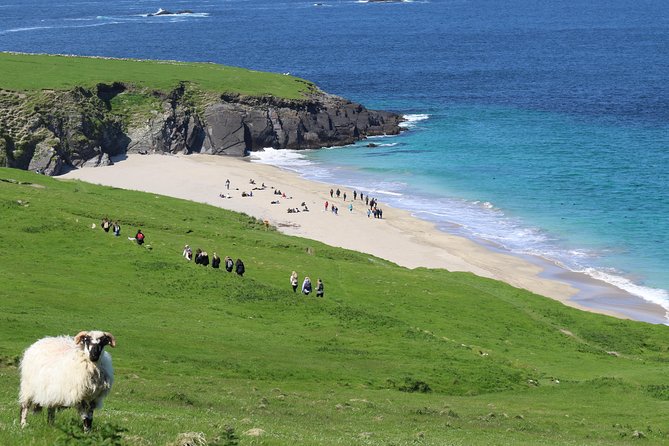 The Great Blasket Island Experience - Premium Tour - Reaching Great Blasket Island by small dinghy