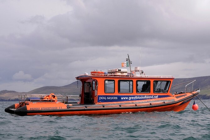 The Great Blasket Island Experience - Premium Tour - What the $141.49 price really buys you