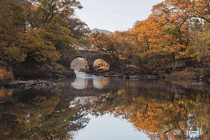 The Meeting of the Waters, Dinis Island, Lakes of Killarney - Key points to know before booking
