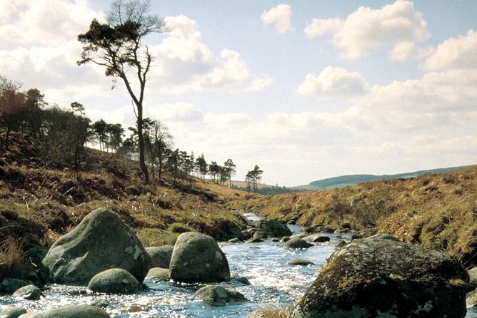 The Original Award Winning Wild Wicklow Tour incl. Glendalough - Is $66.51 Good Value?