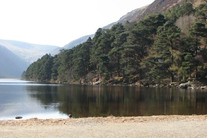The Original Award Winning Wild Wicklow Tour incl. Glendalough - Sally Gap Takes You Into Wild Wicklow