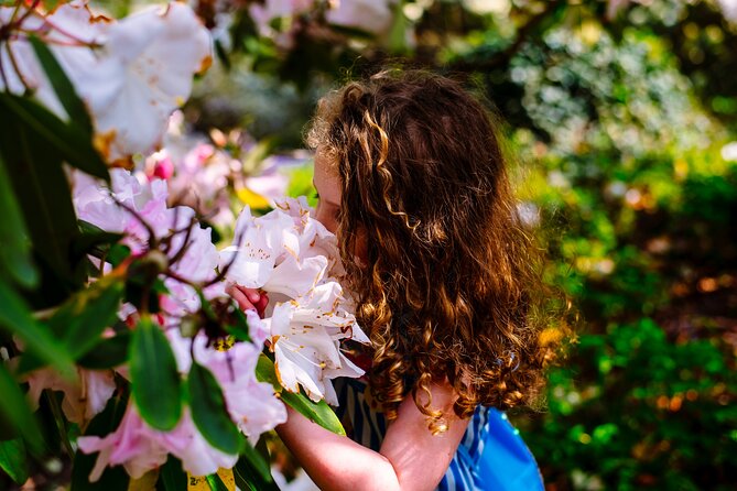 Tickets to Explore Ireland's Global Garden - Why Mount Congreve Works as a Garden Visit