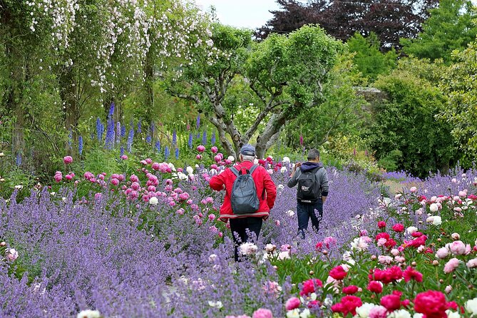 Tickets to Explore Ireland's Global Garden - Walking the 16 Kilometers of Woodland and Walkways