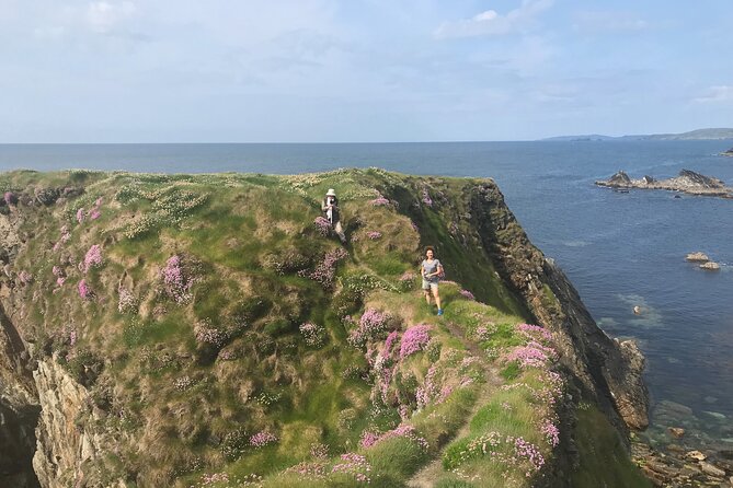 Toe Head Clifftop Hike in West Cork - Móin Rua and the wild orchids