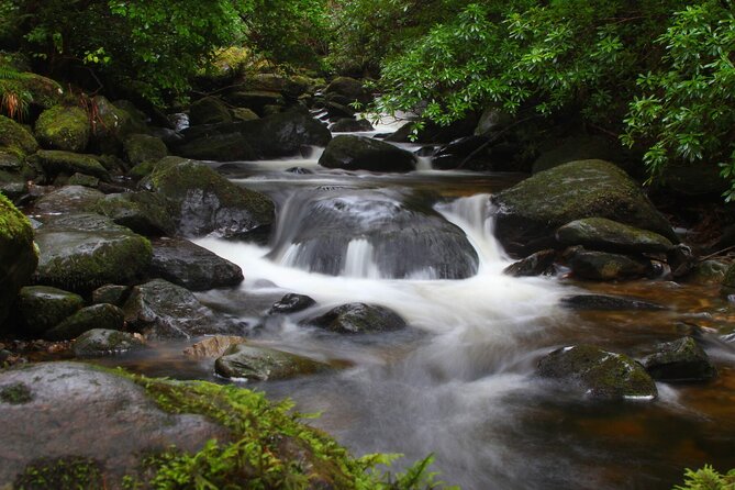 Torc mountain & waterfall hike. Killarney. Private guided group. 3½ hours. - Starting at 9:30 in Brackloon